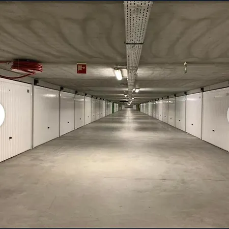 Misan * ニーウポールト